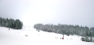 nebel.jpg