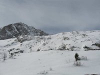 IMG_1413.JPG