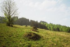Trasse weiter oben.jpg
