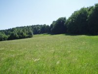 Bairawies 24.Mai 2007-04.jpg