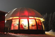 IMG_2994.jpg