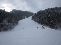 IMG_7719_1.JPG