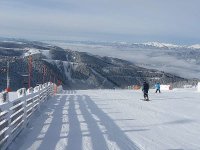 comp_08Almabfahrt.jpg