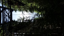 20190615_144334.jpg