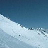 rainer