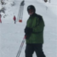 hollekubi