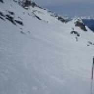 Louveteau