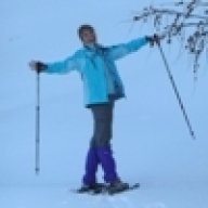 Bergziege