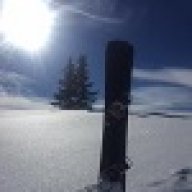 Gelegenheitsboarder