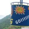 Alpenkoenig