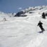 Skihase