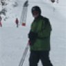 hollekubi