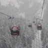 Streifinator