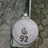 Gerent