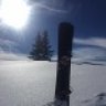 Gelegenheitsboarder