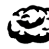 skiwi007
