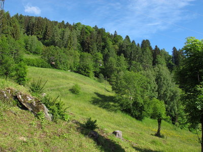 zweite Sektion auf Höhe Dabor