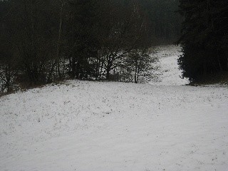 Waldabfahrt von oben