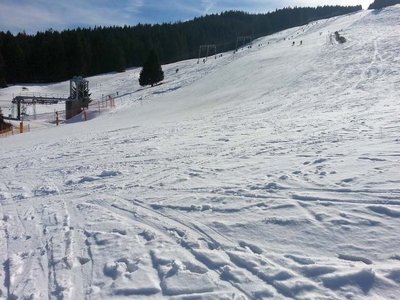 Der doppelte Schlepplift "Berglift" vom Wedellift aus gesehen