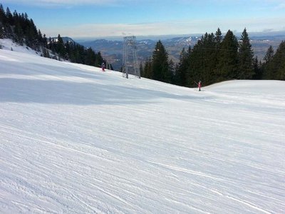Dito. Wie man sieht sind hier die Bügel des Gipfellifts nur in eine Richtung unterwegs -runter laufen sie eine andere Strecke