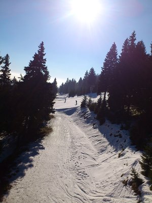 blick vom suzukilift zur premostena ziemlich oben