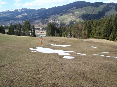 Tragestrecke bis zur Schneilanze links am Waldrand