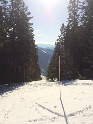 Blick auf die Trasse des Gabühel ESL