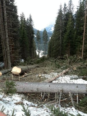 Trasse Drei Zinnen Bahn