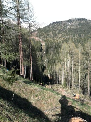 Trasse der Stiergarten Bahn