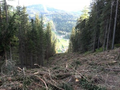 Blick Richtung Talstation.