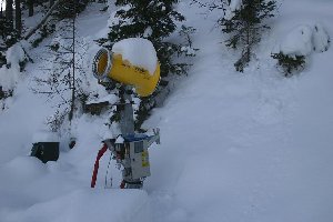 Nivis small - so eine kleine Propellerkanone habe ich wirklich noch nie gesehen ...