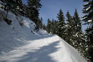 ... im Mittelteil ist sie nur eine Forststrasse, genau eine Raupenspur breit.