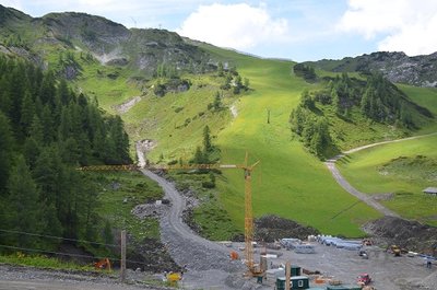 Einige alte stutzen sieht man noch
