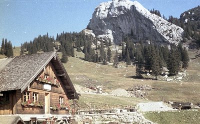 Die "OMA" Obere Maxlraineralm im Sommer 1969 - ohne Skilifte und Taubensteinbahn