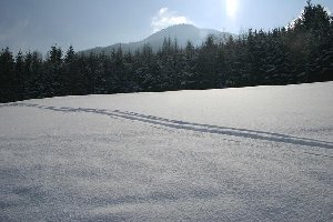 Hochwinter auch auf 700 m - und das im März!