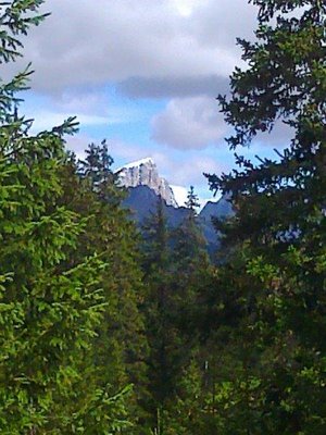 Die Vorboten des Winter - Mamolada im Profil