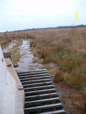 2014-11-21 14.09.02.jpg