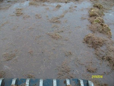 2014-11-21 14.10.06.jpg