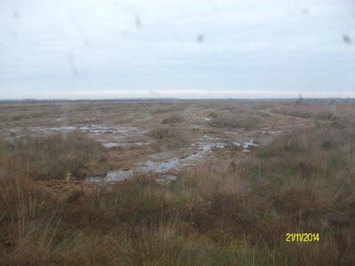 2014-11-21 14.09.11.jpg