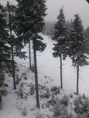 blick zur schwarzen piste - noch zu wenig schnee