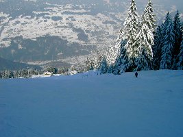 Abfahrt beim SL Hochegga, am rechten Rand der SL selbst.