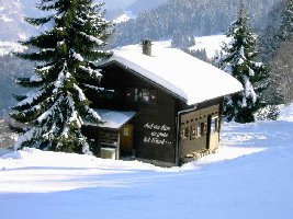 An der Talabfahrt vom Golm zwischen Matschwitz und Latschau.