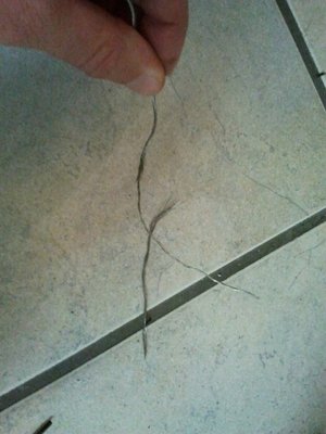 Die gebrochene Litze