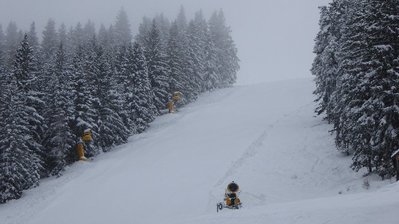 Meine Privatpiste am Donnerstag (Rennpiste)