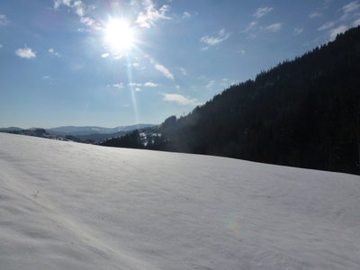 Blick in Richtung Tal