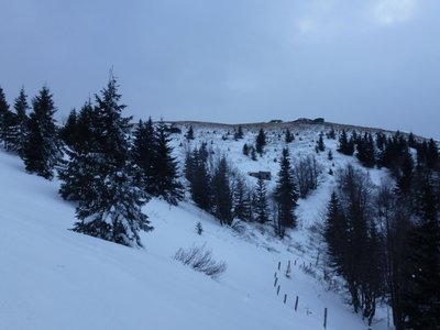 Auf dem Weg nach oben
