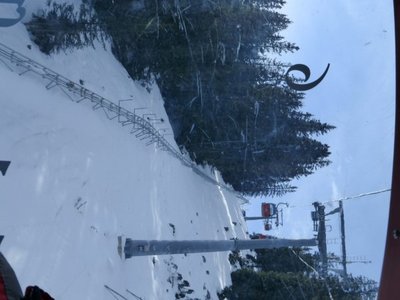 nochmal die waldbahn in serfaus. mit der sommerrodelbahn, die - im gegensatz zu fiss - permanent hier steht. <br /><br />das streckenstrück was hier zu sehen ist, ist die rückführung der bobs - zuerst dachte ich, das wäre die strecke...