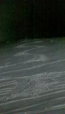 First line of the season ;-)