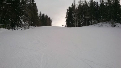 Blick hinauf. Oben zu sehen die letzte Stütze vom Schwabenberglift II