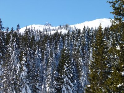 Blick in die Gipfellage